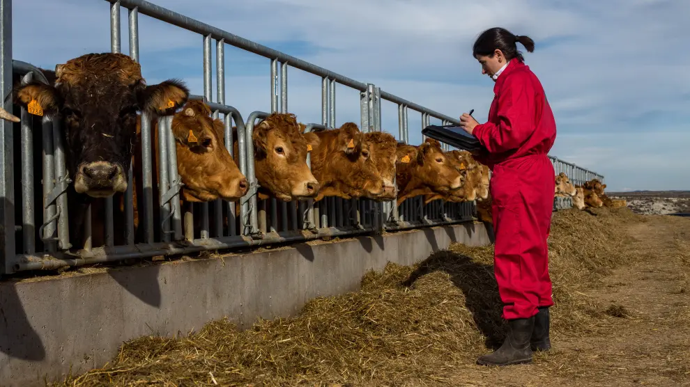 Las mujeres que se dedican profesionalmente a la agricultura y la ganadería tienen más arraigo al territorio.
