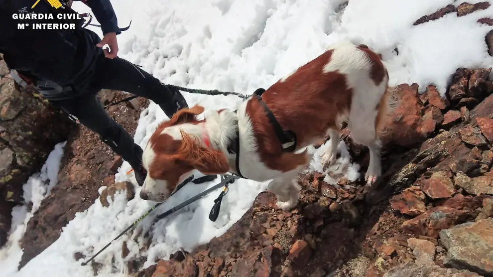 El perro cayó 20 metros por un corredor al romperse una cornisa de nieve.