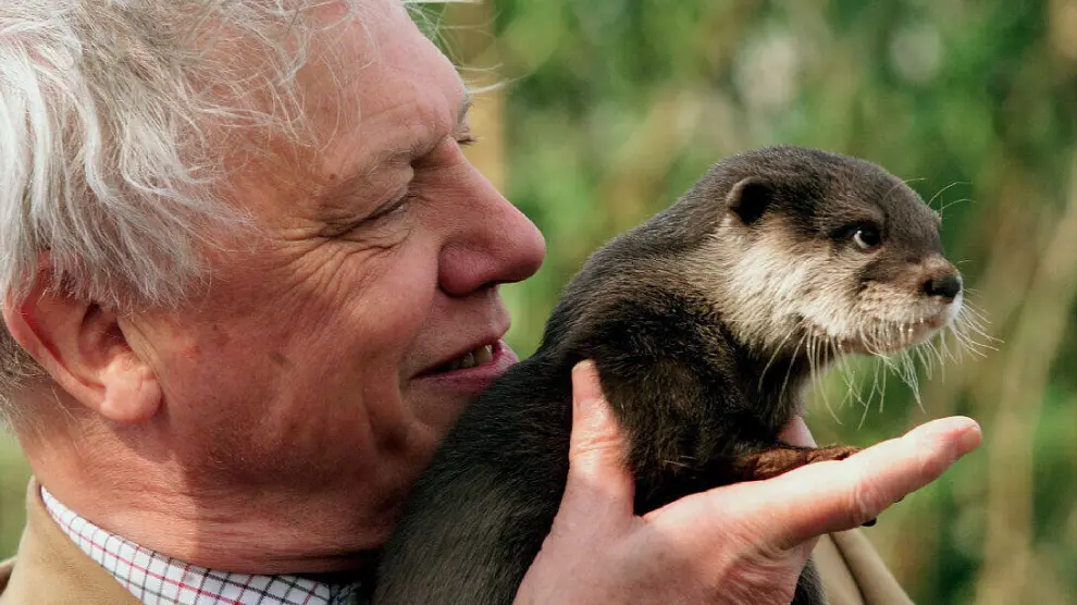 [El naturalista David Attenborough.