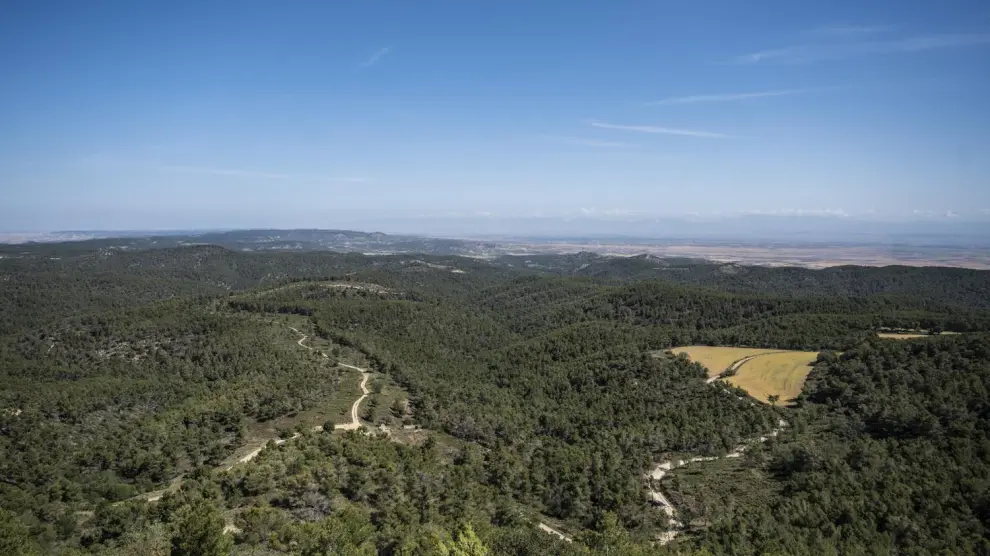 El parque nacional abarcaría 29.000 hectáreas de las comarcas de Monegros, Ribera Baja del Ebro y Comarca Central.