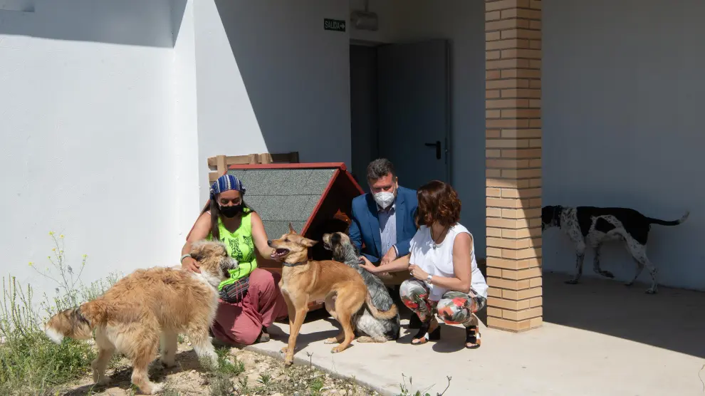 Nuevo refugio de animales del ayuntamiento de Teruel /2021-06-07/ Fotos: Jorge Escudero[[[FOTOGRAFOS]]]