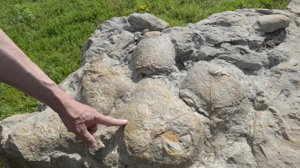 Icnita o huella fósil de Iguanodon expuesta en una zona de recreo de Camarillas, junto al Alfambra.