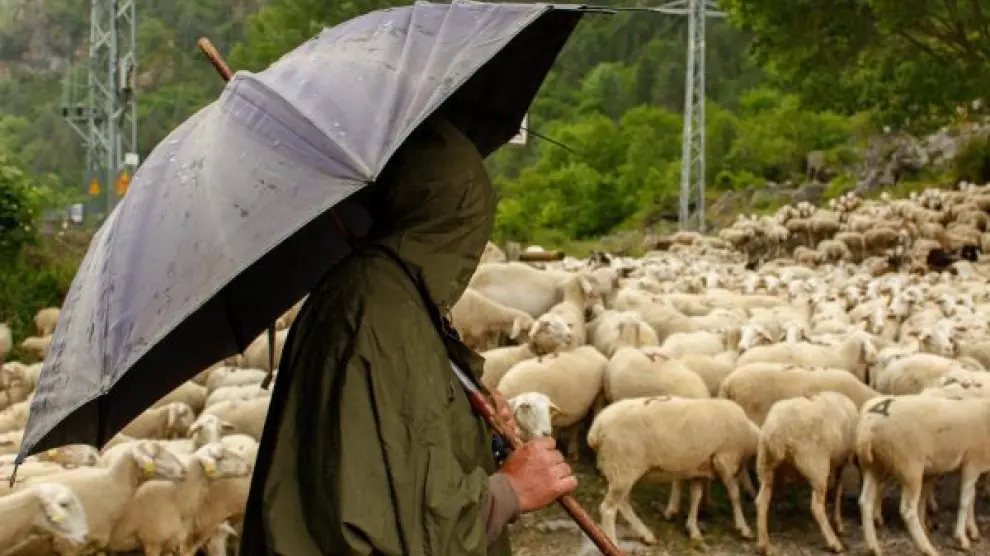 La escuela de pastoreo La Estiva está llevando a cabo un curso inicial con 22 participantes.