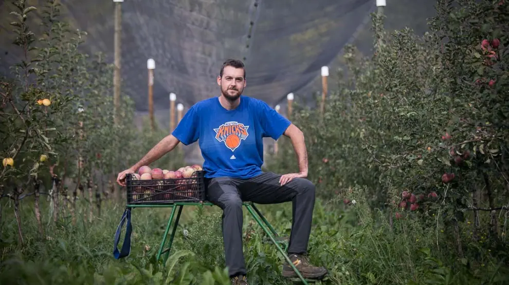 Ignacio Olivar en su plantación de manzanas