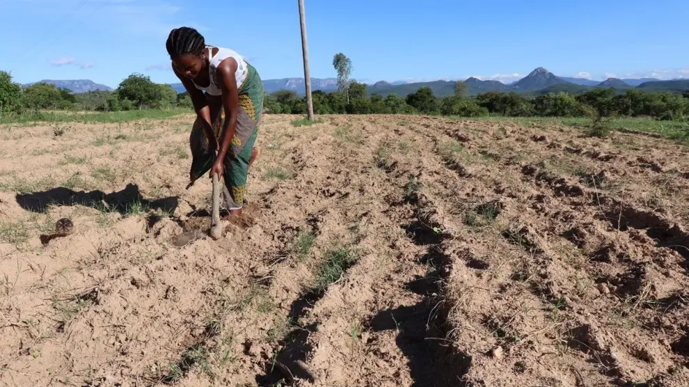Agricultora afectada por la sequía en África.