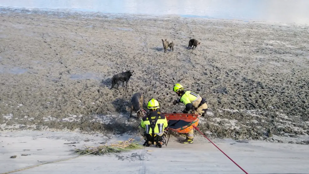 Momento de la operación de rescate de los perros en la balsa de Fraga.