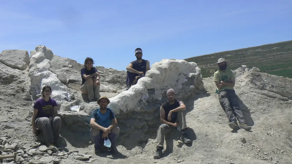 Hallazgo paleontológico en Teruel