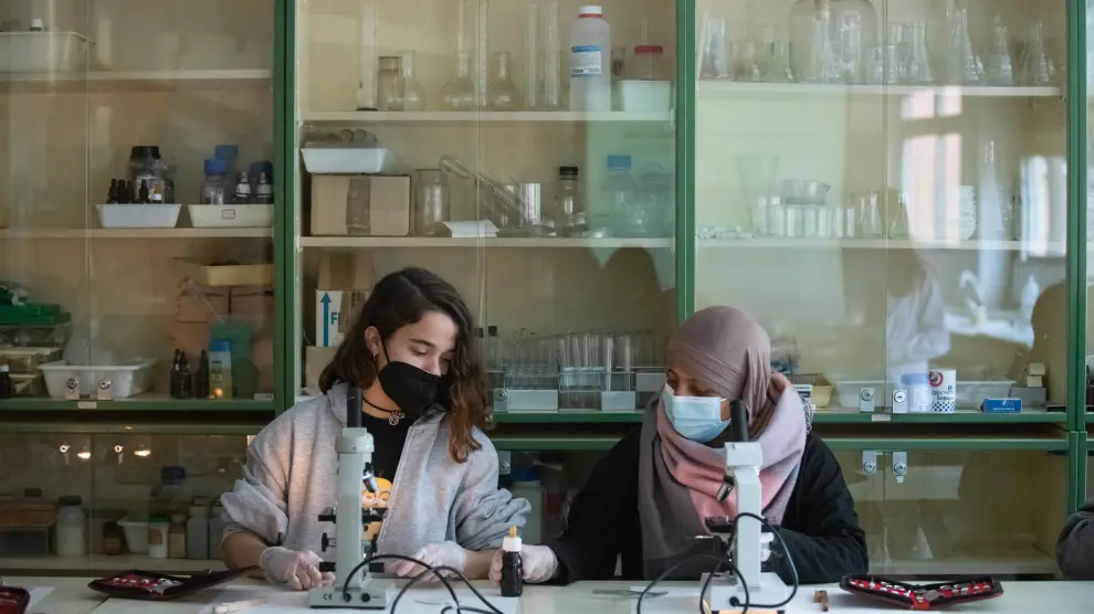 Dos alumnas del IES Ramón y Cajal en el laboratorio de Biología y Geología del centro, este jueves en Zaragoza.