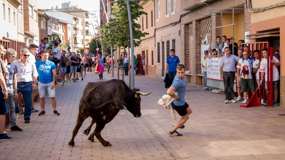 Vaquillas en la avenida de Zaragoza, de Utebo