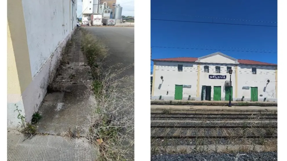 Las estaciones de Selgua, El Tormillo-Lastanosa y Marcén-Poleñino ofrecen una imagen de dejadez.