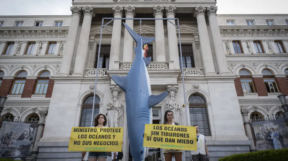 Greenpeace "cuelga" un tiburón en Madrid y denuncia la pesca ilegal que sufre.