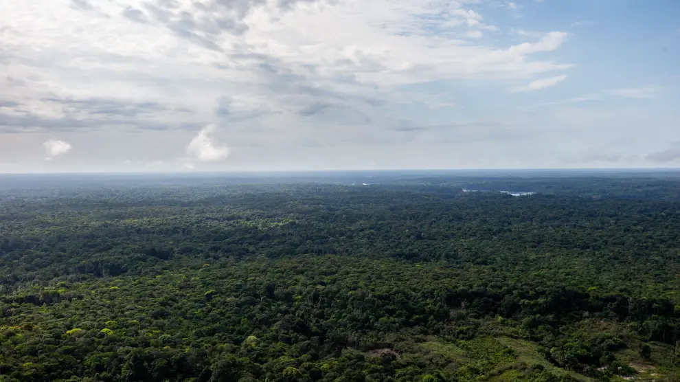 Vista aérea de la selva amazónica en una zona fronteriza entre Brasil y Colombia.