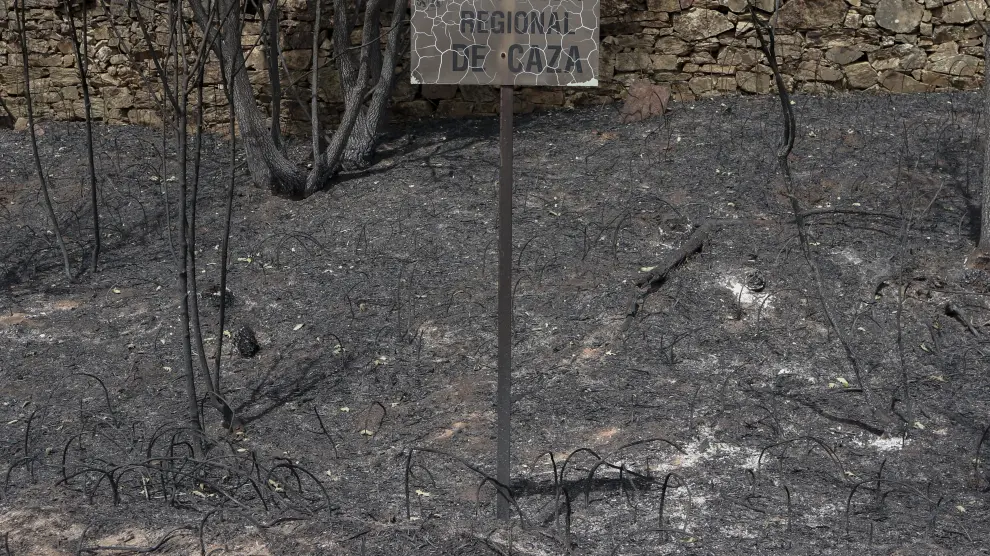 Una zona ya arrasada en Villardeciervos, en la Sierra de la Culebra.