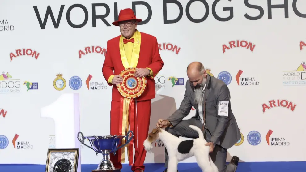 Funfair Foxhouse ha competido con más de 16.500 perros de más de 250 razas procedentes de los cinco continentes.