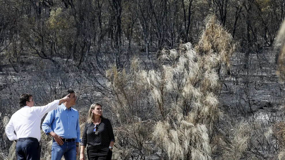 Sánchez durante su vivista a la zona del incendio que afectó al Parque Nacional de Monfragüe en Cáceres.