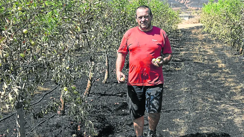 Víctor Casado es agricultor ecológico.