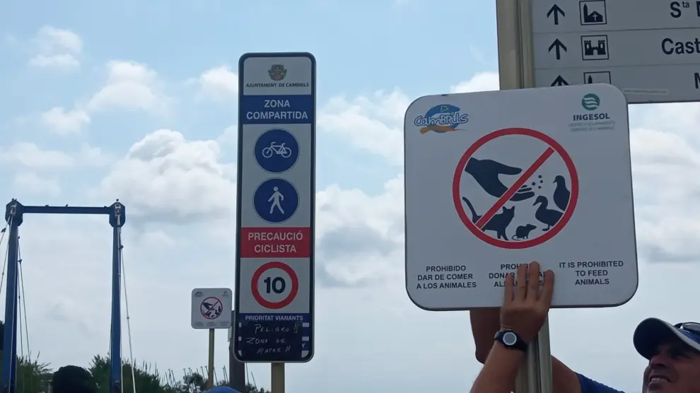 Cartel que avisa de que está prohibido dar de comer a los animales en la desembocadura de la riera de Riudoms en Cambrils. Detrás, el aviso de peligro por ratas