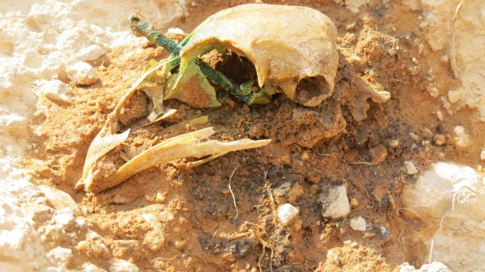 La gallina apareció en una pequeña fosa excavada en el suelo entre varios enterramientos infantiles.