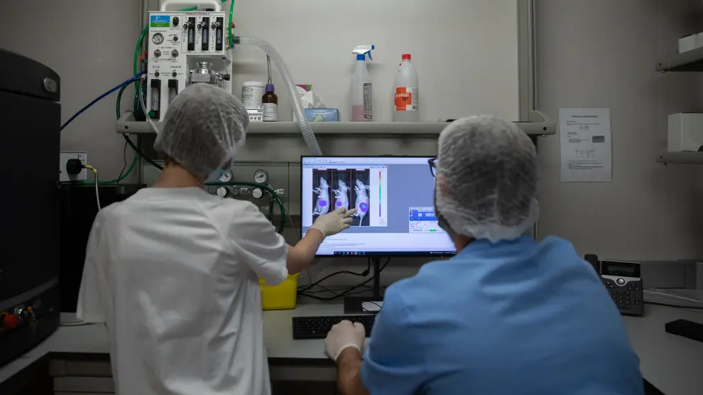 Un técnico del IACS y una investigadora observan un tumor en un roedor.