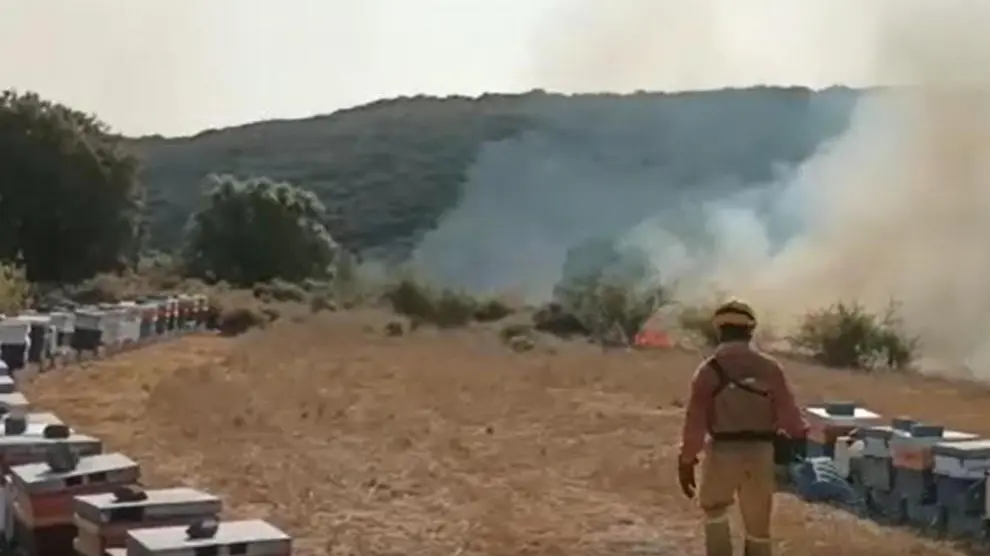 Un bombero inspecciona el estado de una explotación apícola amenaza por el incendio del Moncayo.