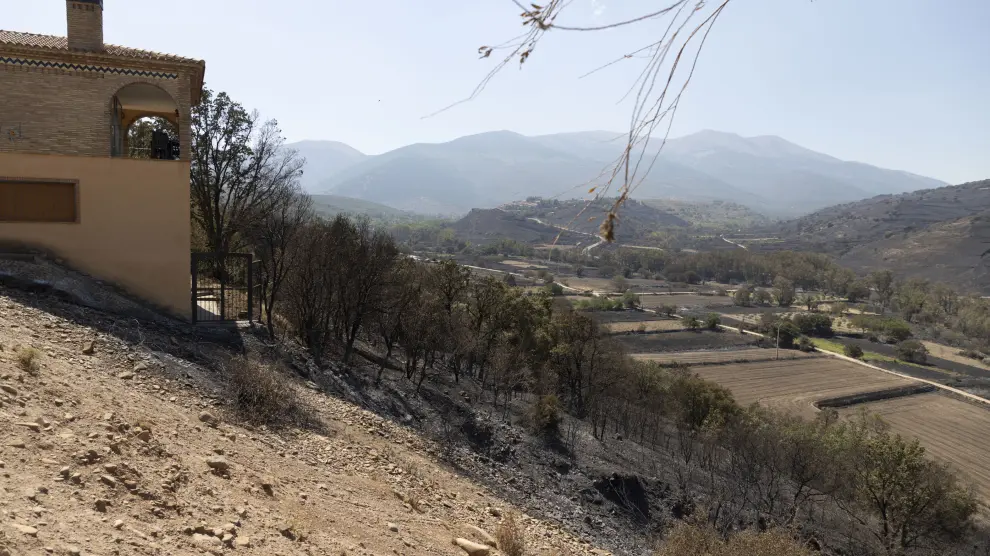 Una zona calcinada por el incendio del Moncayo, frente a una casa rural en Alcalá.