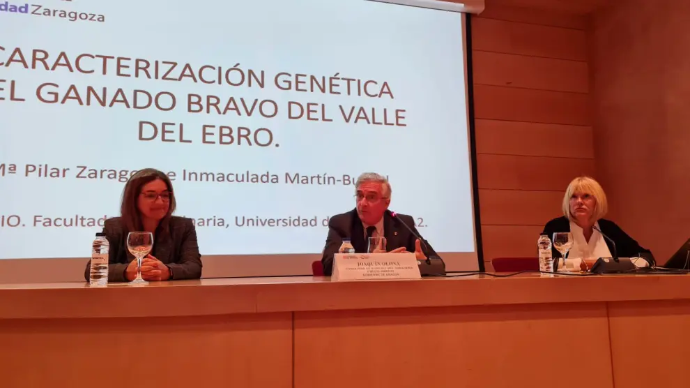 Inmaculada Martín-Burriel, Joaquín Olona y Pilar Zaragoza en la presentación del estudio