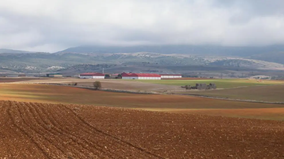 Cultivos de cereal en la provincia de Teruel.