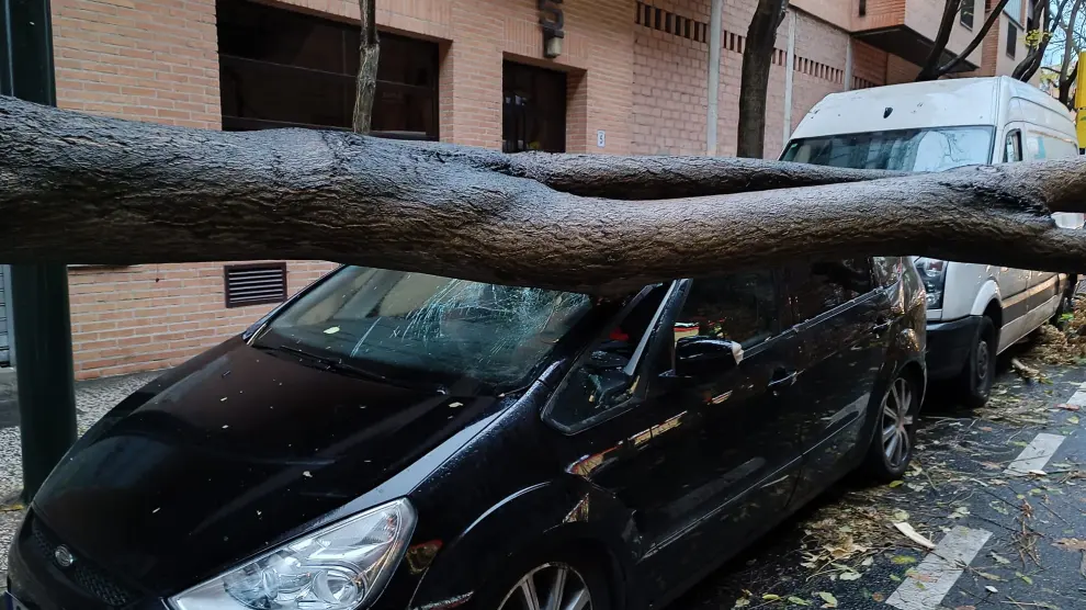 El árbol caído sobre un coche en la calle Monreal de Zaragoza.