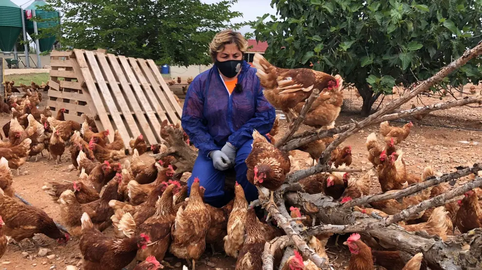 María Concepción Barraqueta junto a sus gallinas, en la parcela de Huevos Camperos Los Corrales en la localidad de Épila