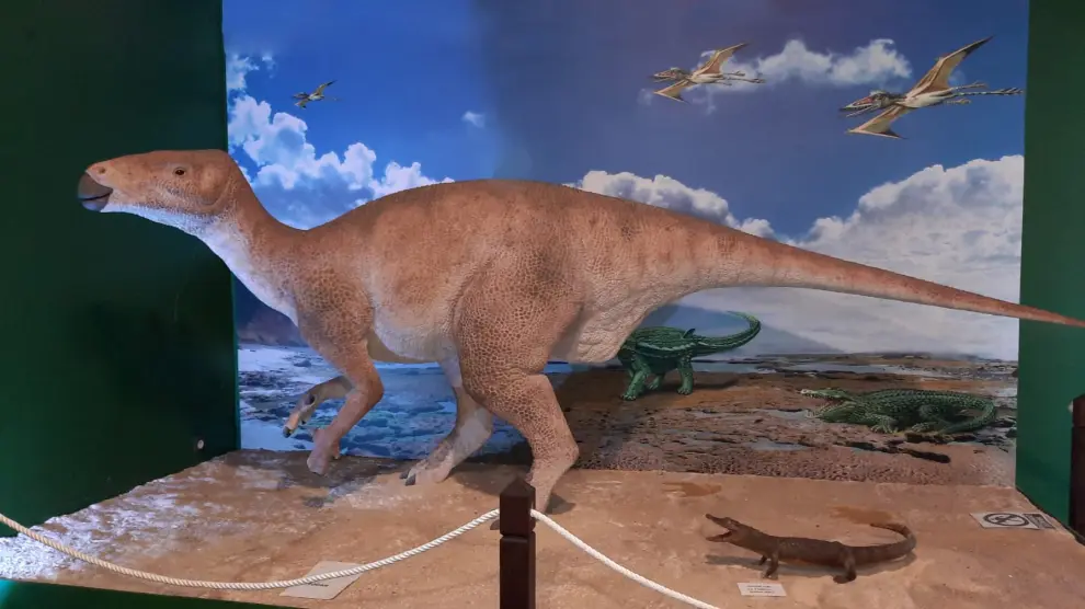 La especie de dinosaurio descubierta en Estercuel tenía un aspecto similar al Iguanodon de la foto, expuesto en Utrillas.