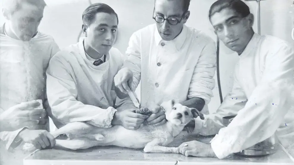 Prácticas veterinarias en la Facultad de Veterinaria de la Universidad de Zaragoza en 1930.
