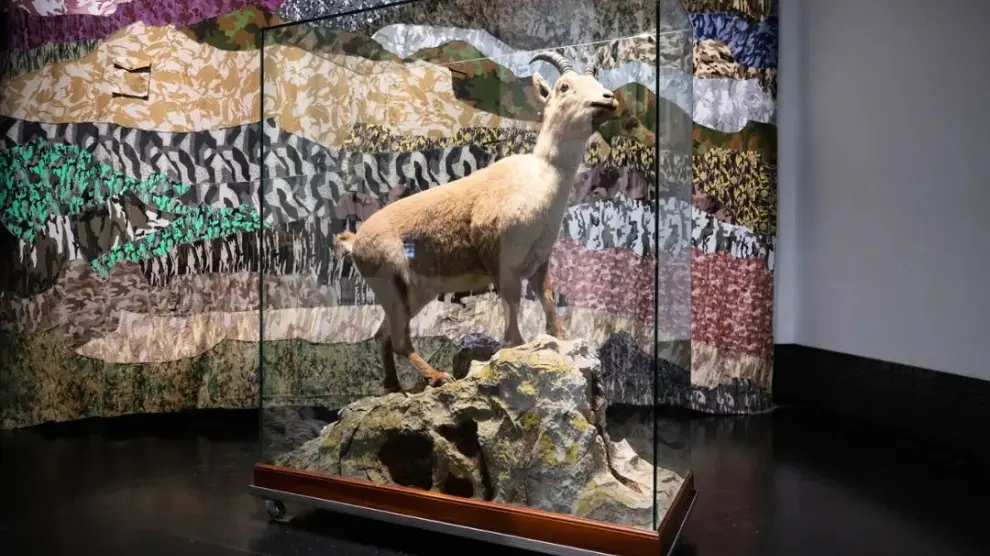 El animal disecado que se exhibe en el Centro de Visitantes de Torla.
