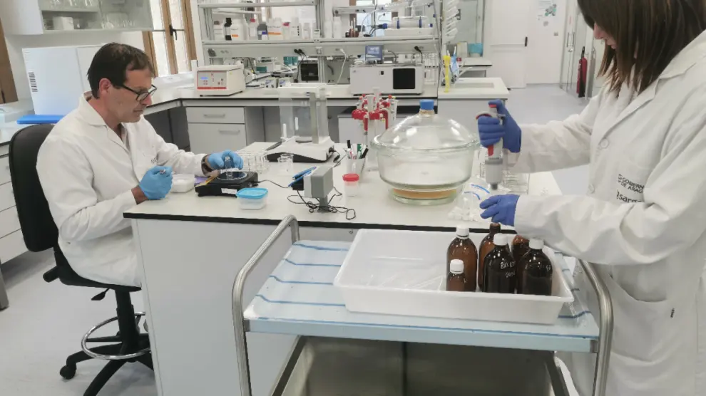Participantes en el XIV Foro Internacional de Lindano y Pesticidas visitaron el laboratorio de descontaminación de Pirenarium y el vertedero de Bailín..