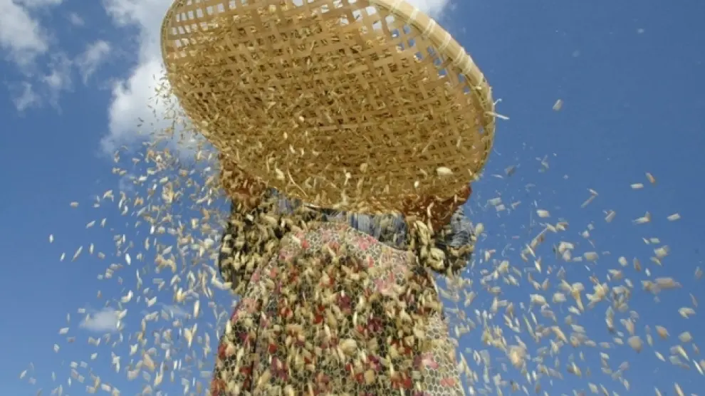 Una mujer pasa por un cedazo cereales para obtener el grano.