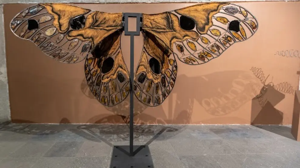 La mariposa nocturna cuatro espejos que inspira a Cristina Huarte.