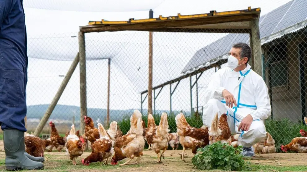 La OMS confirma el fallecimiento de la persona infectada por la variante H3N8 de la gripe aviar en China