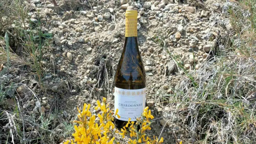 El vino Chardonay Pirineos está lleno de matices que lo hacen único.