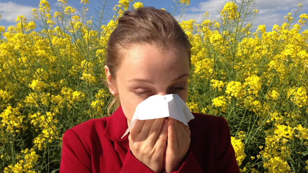 Quienes son alérgicos al polen presentan síntomas respiratorios
