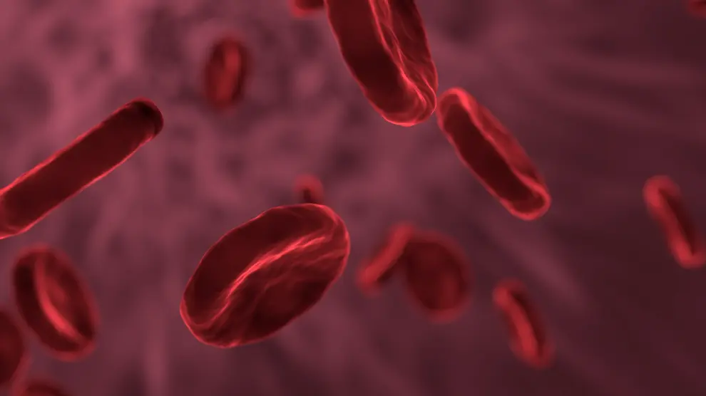 Glóbulos rojos o hematíes, en el torrente sanguíneo