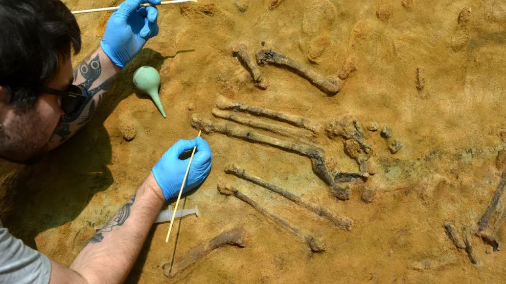 Hallan el esqueleto completo de un ave de hace 3,1 millones de años en Caldes de Malavella (Gerona)