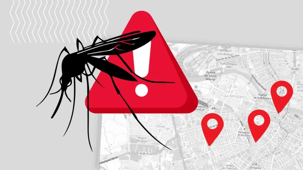 Mapa del mosquito en Zaragoza
