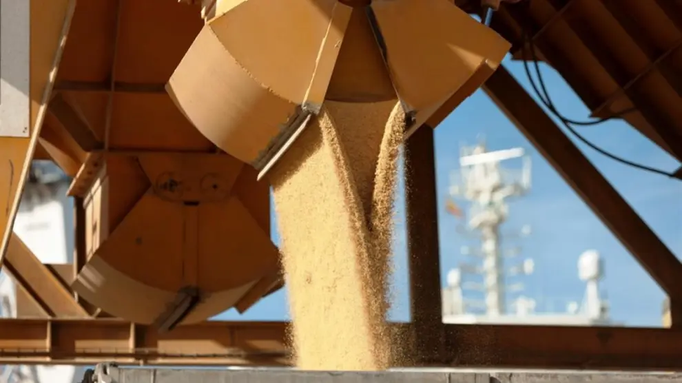 La operativa de los puertos ante el gran volumen de cereal importado será decisiva esta campaña.