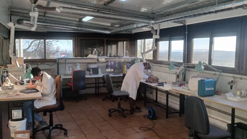 Laboratorio Paleontológico de Loarre, trabajos en él y centro de interpretación