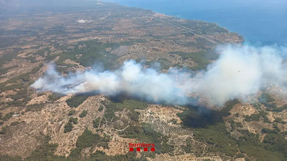 Zona afectada por el incendio en Perelló (Tarragona).