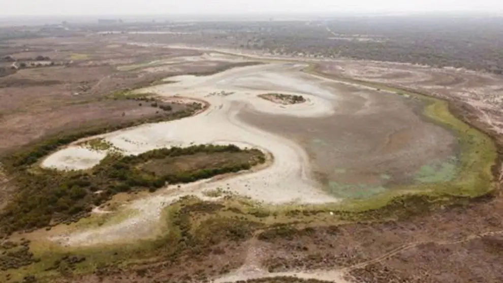 Santa Olalla, la laguna permanente más grande de Doñana, se ha secado por completo