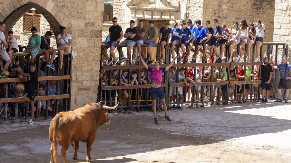 Los jóvenes en la barrera viendo al toro en la Plaza del Ayuntamiento de Cantavieja