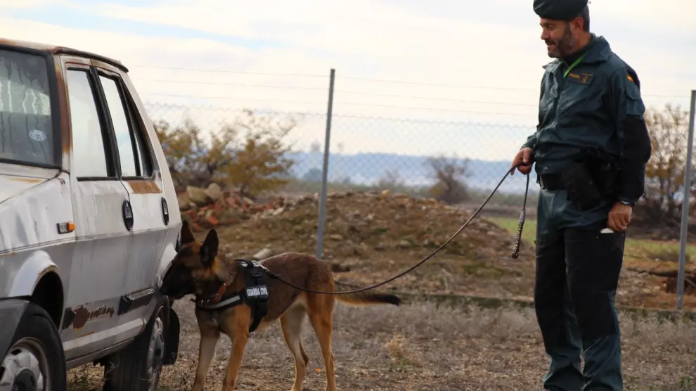 El cabo primero de la Guardia Civil, Antonio del Puerto, con un perro especialista como los de la UME y Bomberos de Zaragoza.