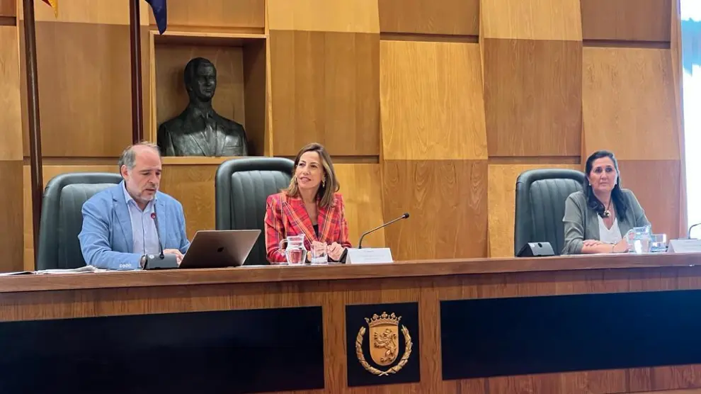 El Consejo de Ciudad reunido este viernes en el salón de plenos del Ayuntamiento de Zaragoza.