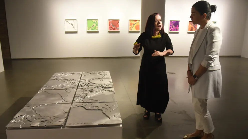 Visita guiada a la nueva exposición 'Ecologías Fragmentadas' de Esther Pizarro en la DPH.