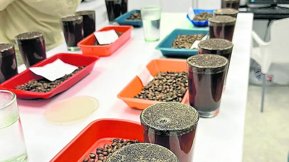 Cata de café realizada por los productores colombianos.